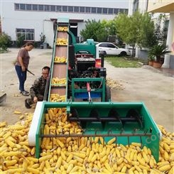 河北 玉米脱粒机 干湿玉米收割打粒机 生产厂家