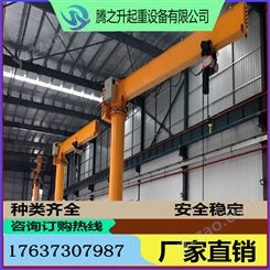 腾晟起重  室内货品吊运1吨臂长6米钢材厂用悬臂吊 型号可定制