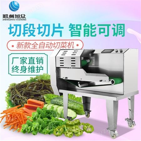 全自动调速切菜机 多功能切菜切丝机 商用型切片机厂家