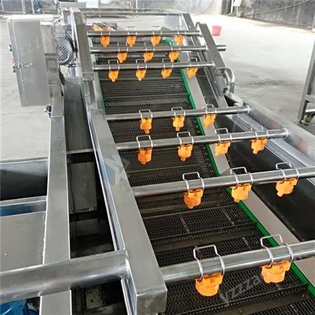 毛豆清洗机 配置冰水机组的气泡清洗机生产厂家 杏鲍菇洗切生产线