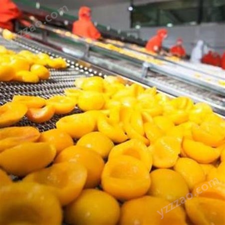 糖水罐头 巨鑫源厂家直供 黄桃罐头山东厂家供应 可出口