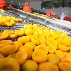 罐頭 廠家生產 優質黃桃 巨鑫源罐頭食品 山東生產 加工