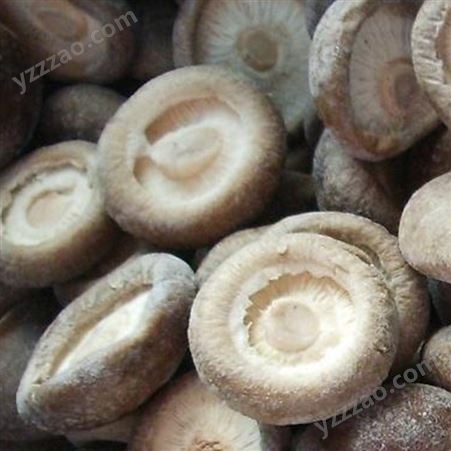速冻香菇产品 食堂饭店加工方便的速冻香菇