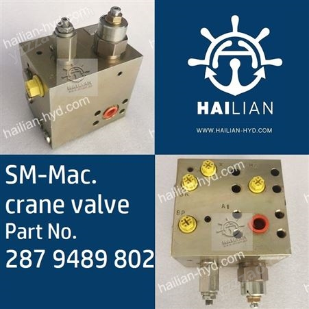 Mac. crane valve Part No. 287 9489 802 克令吊机液压阀