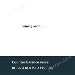 Balance valve KCB63EAD/7SB/315-306,KHM-3026S克令吊控制阀组