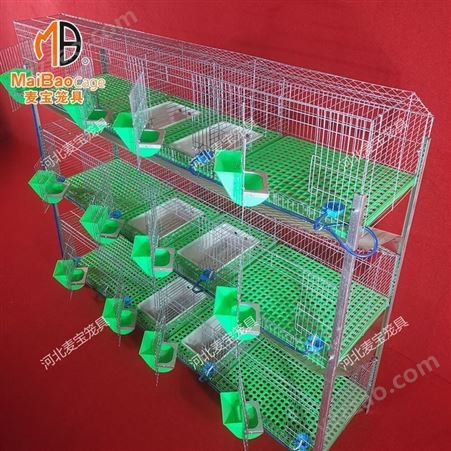 定制兔笼 三层12位层叠式大号兔笼免清粪 养殖场兔笼 子母兔笼