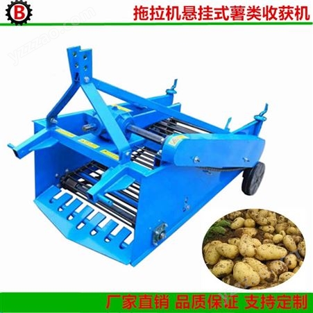 供应土豆红薯收获机 不同宽幅拖拉机带薯类收割机 起署机
