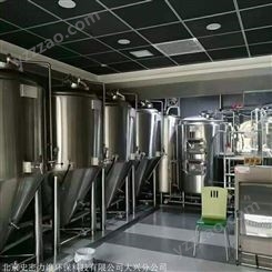 河北史密力维自酿啤酒设备 酒吧啤酒设备 500升啤酒设备