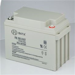 BATA鸿贝蓄电池FM/BB1265T 12V65AH铅酸免维护阀控密封式应急用